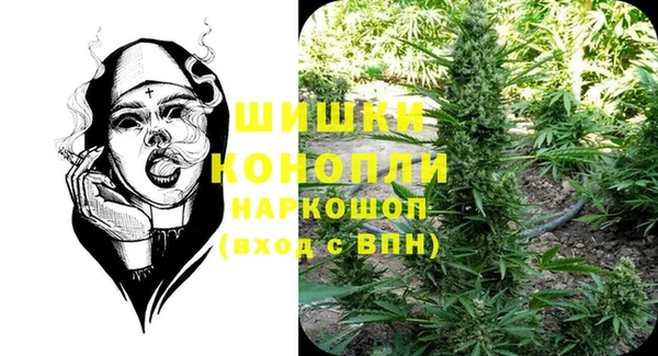 прущие грибы Балабаново