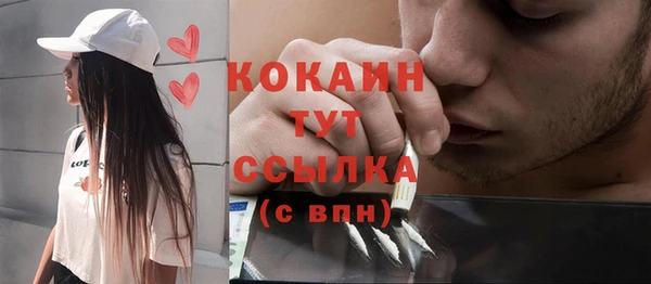 прущие грибы Балабаново