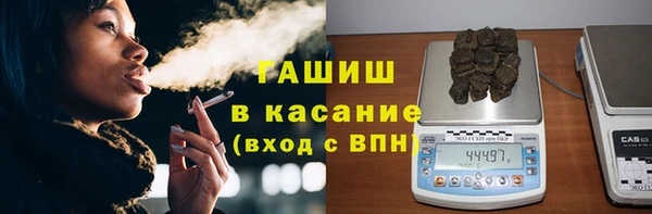 прущие грибы Балабаново