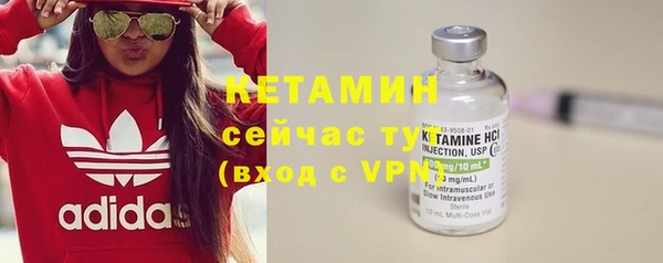 прущие грибы Балабаново