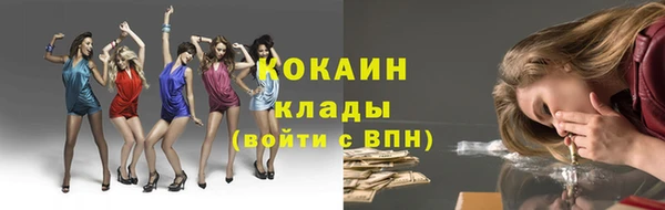 прущие грибы Балабаново