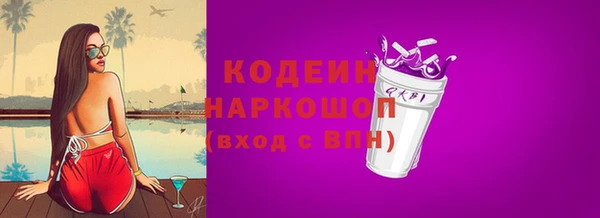 прущие грибы Балабаново