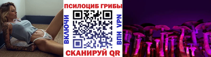 Галлюциногенные грибы Psilocybine cubensis Петровск