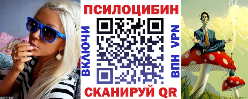 Галлюциногенные грибы Psilocybe  сколько стоит  Петровск 